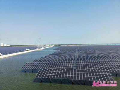进农场走园区 外国Z世代青年眼中的山东农业高质量发展与太阳能发电