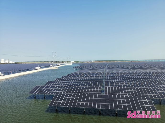 进农场走园区 外国Z世代青年眼中的山东农业高质量发展与太阳能发电
